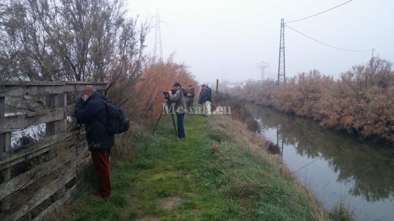 Cervia, site visit